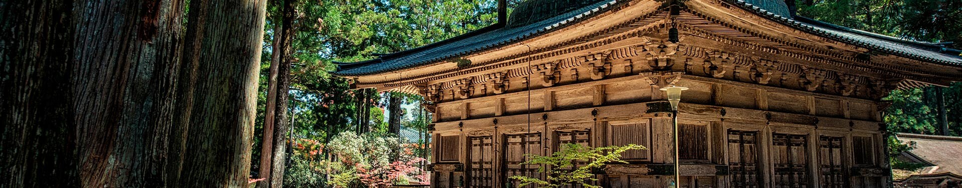 Osaka, Koya, Nikko, Tokyo and Kyoto