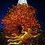 Rockefeller Center